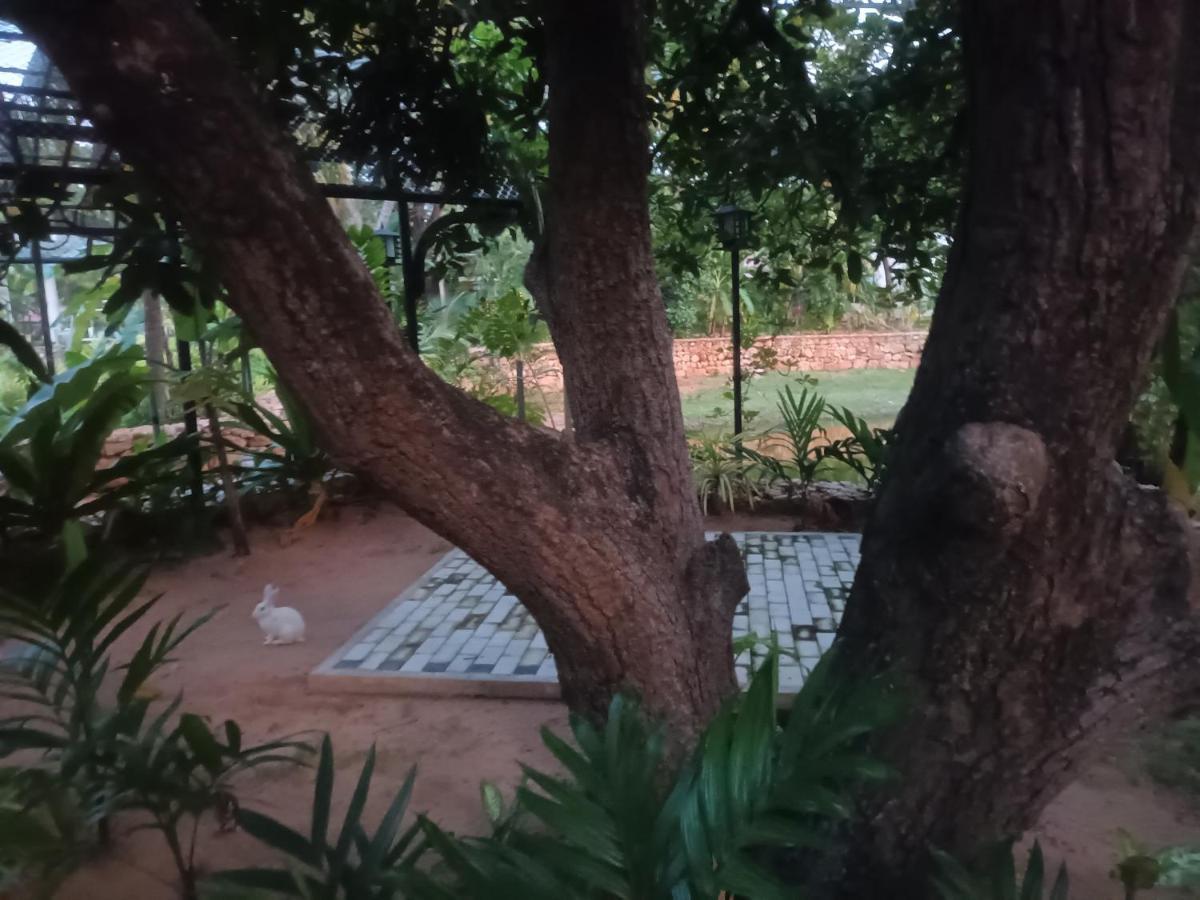 Lucky Beach Resort Trincomalee Exterior foto